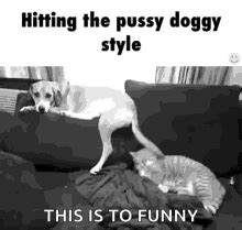 Doggy Gefickt: Doggy Style Porn